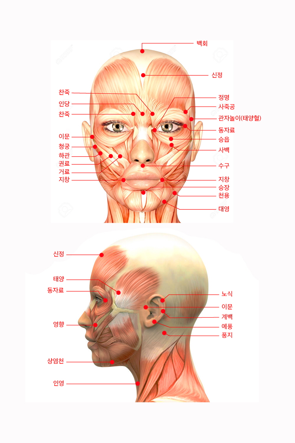 2000769928_MGCRxpom_1f02c5c7cf6b131027d333ed678e0015fcbaad63.jpg 이미지크게보기